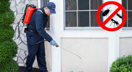 Göztepe Fare İlaçlama böcek ilaçlama ve haşere kontrolü — ilaclama-tr.com